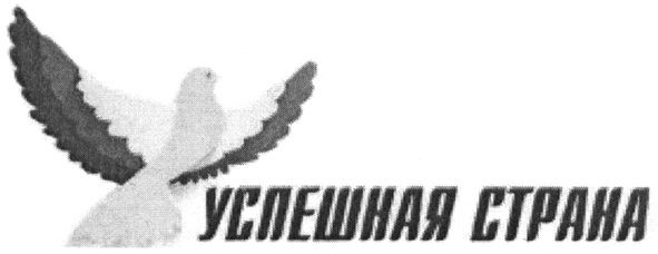 успешная страна