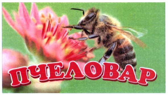 пчеловар