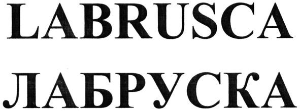 labrusca