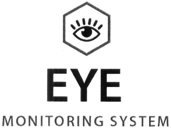 monitoring system