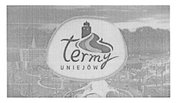 termy uniejow