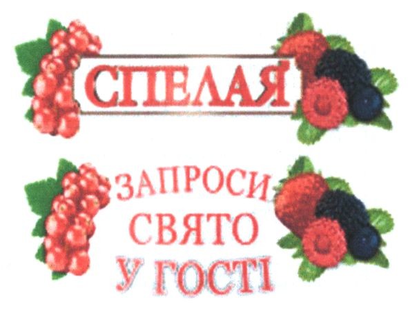 запроси свято у гості