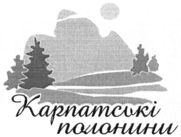 карпатські полонини