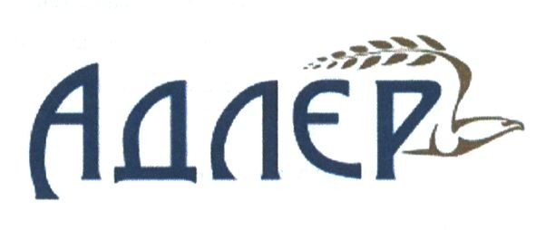 адлер