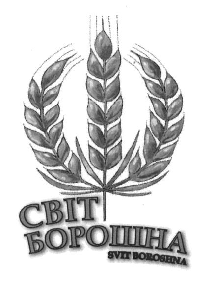 svit boroshna