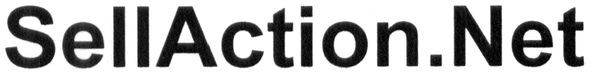 sellaction.net