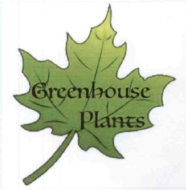 greenhouse plants