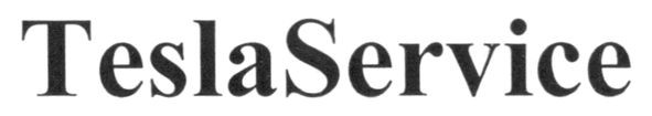 teslaservice