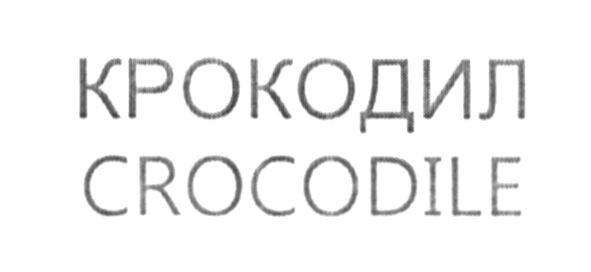 crocodile