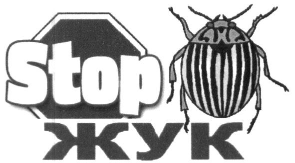 stop