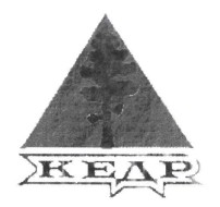 кедр
