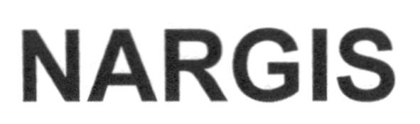 nargis