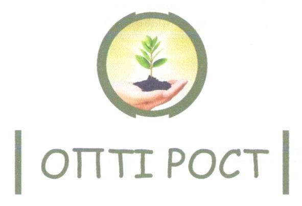 опті рост