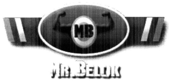 mr.belok