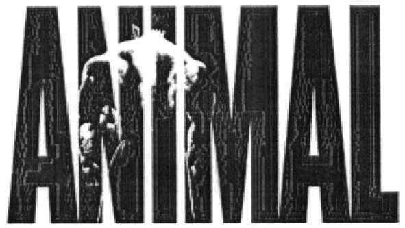 animal
