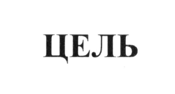 цель