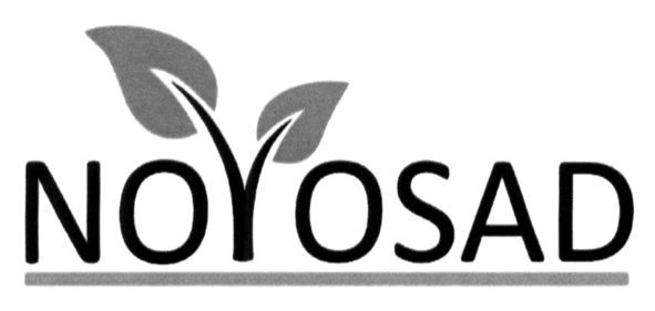 novosad