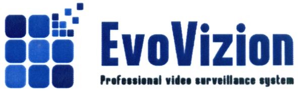 professional video surveillance system