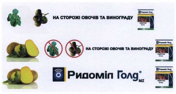на сторожі овочів та винограду