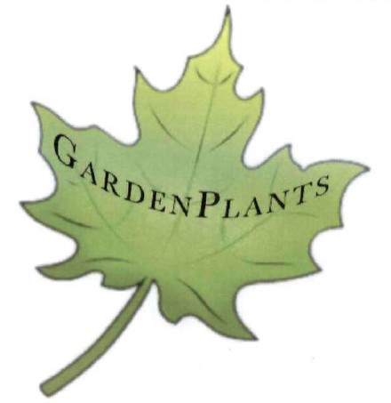 garden plants