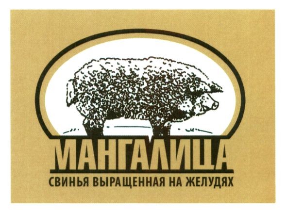свинья выращенная на желудях