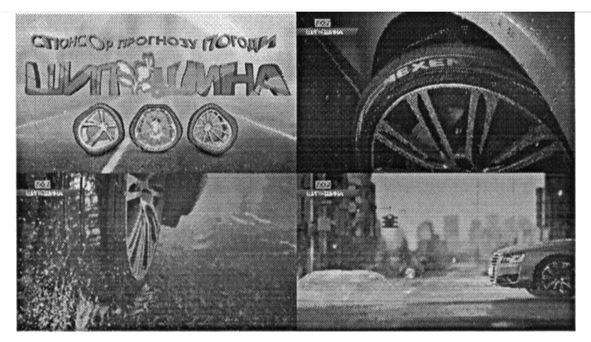 шипшина