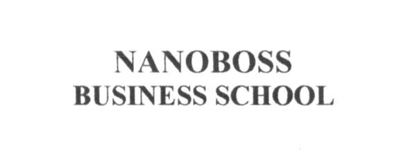 nanoboss business school