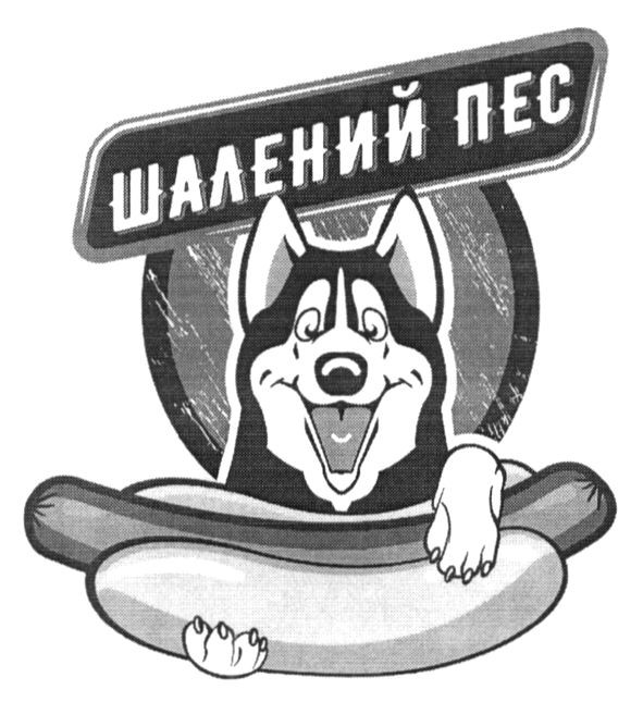 шалений пес