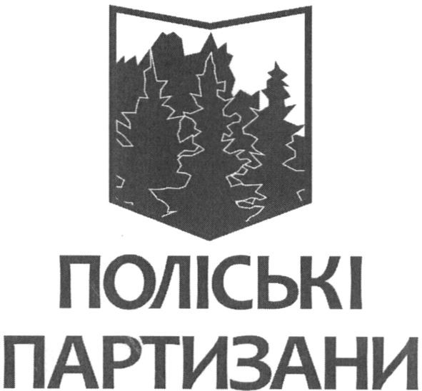 поліські партизани
