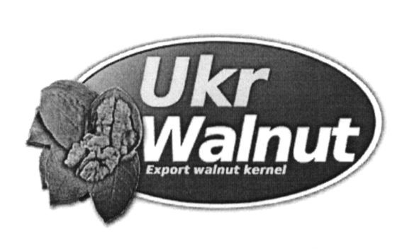 export walnut kernel