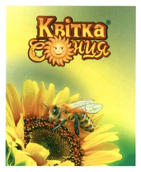 квітка сонця