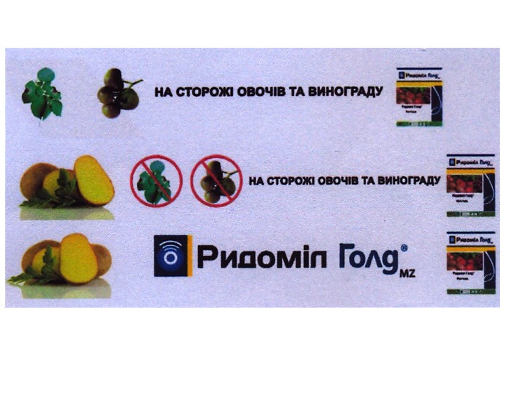 на сторожі овочів та винограду