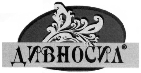 дивносил