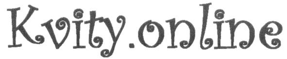 kvity.online