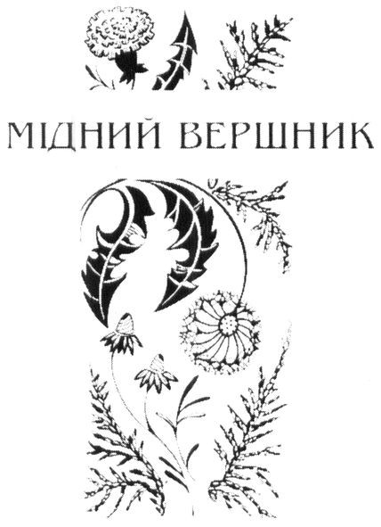 мідний вершник