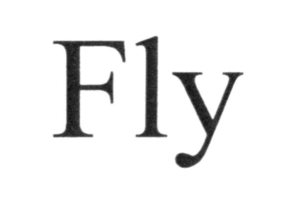 fly