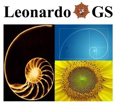 leonardo gs