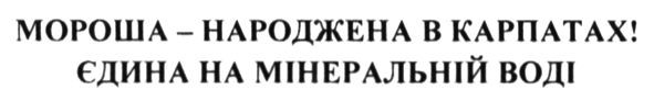 мороша-народжена в карпатах. єдина на мінеральній воді