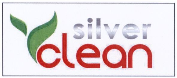 silver clean