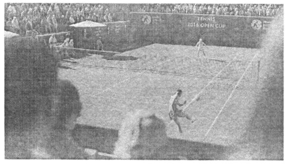 tennis open cup