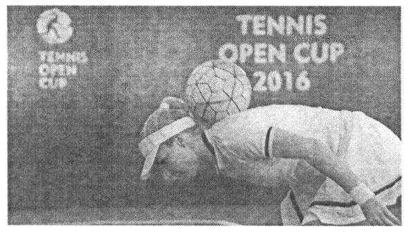 tennis open cup 2016