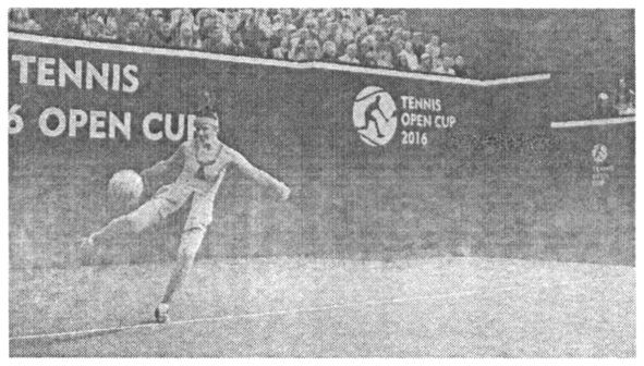 tennis open cup 2016