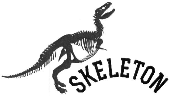 skeleton