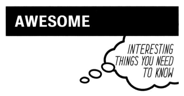 interesting things you need to know
