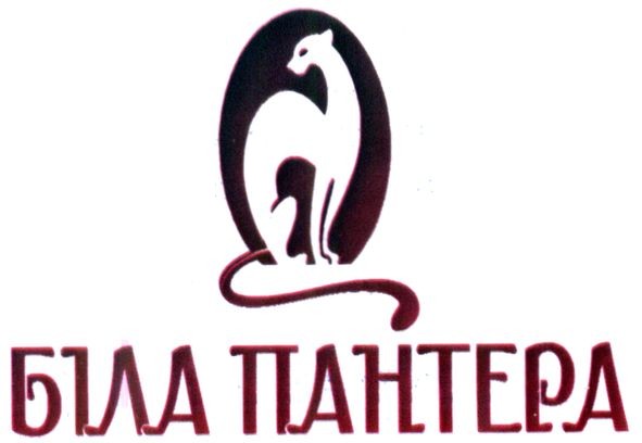 біла пантера