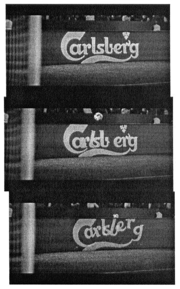 carlsberg