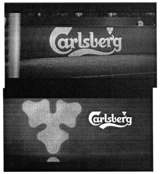 carlsberg