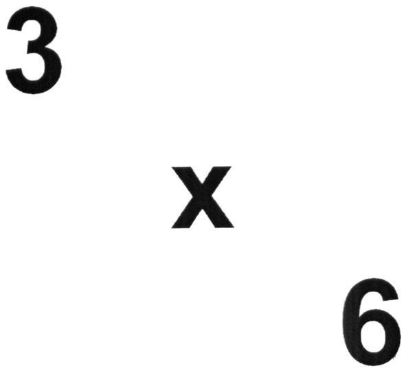 3x6