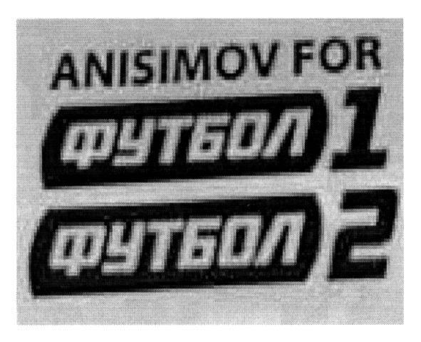 anisimov for