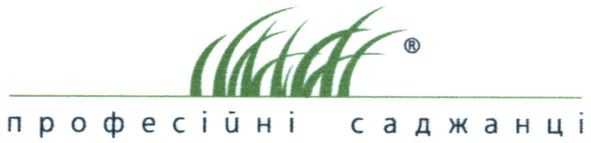 професійні саджанці